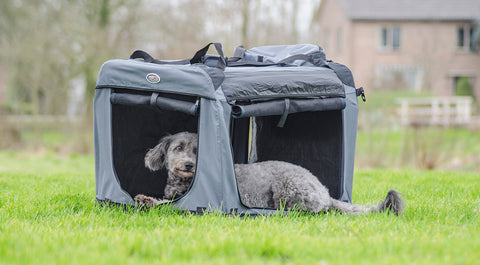 Aanbieding Hondenbench | InnoPet Carrier All-In | Hondenkennel & Hondendraagtas bij Superbay  