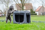 Hondenbench | InnoPet Carrier All-In | Hondenkennel & Hondendraagtas | Superbay
