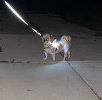 LED Lampje voor Hond | Superbay