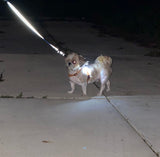 Mooi LED Lampje voor Hond