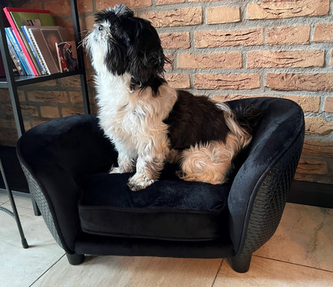 Aanbieding Enchanted Hondenmand Sofa Ultra Pluche Snuggle Wicker - Zwart 68X41X38 CM bij Superbay  