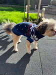 Honden Trui Kerstmis Noors - Warm, Comfortabel & Stijlvol | Blauw | XS - 3XL | Superbay