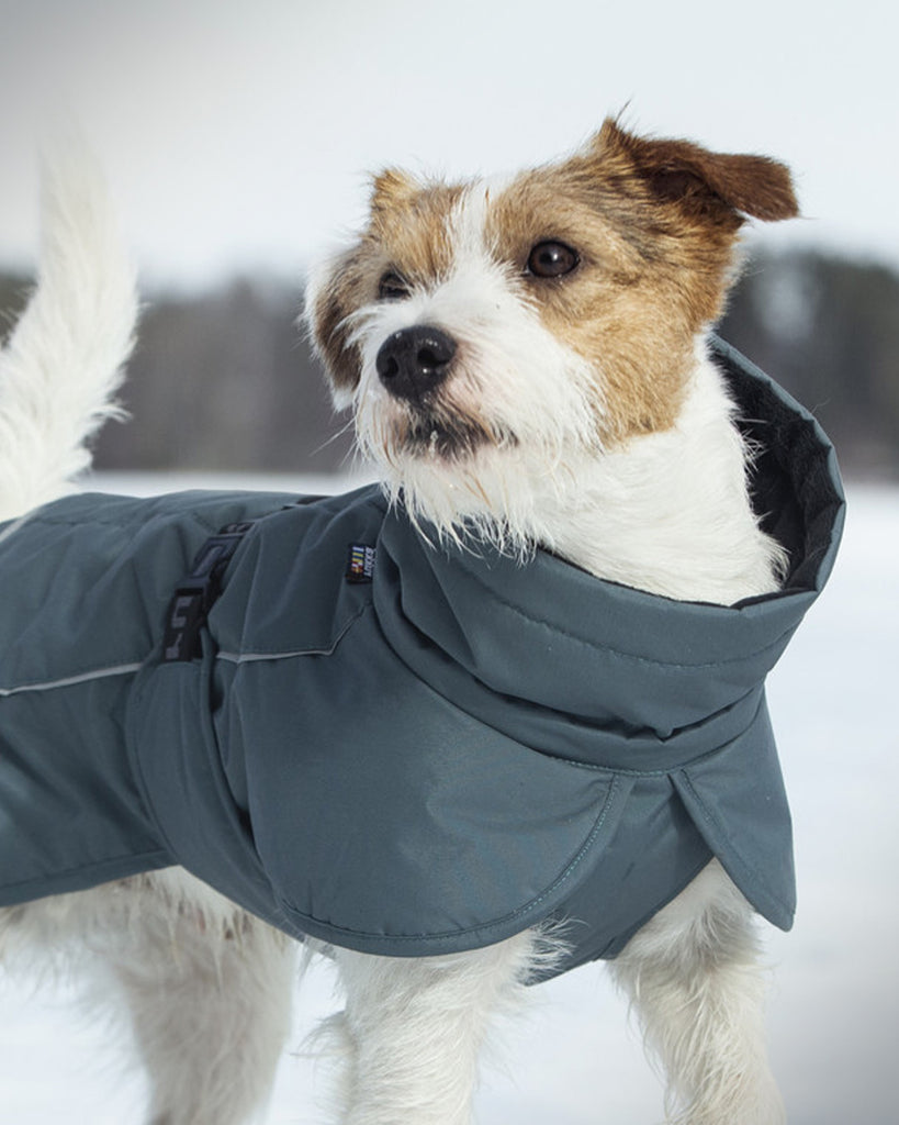 Rukka Pets | Winterhondenjas Wind- & Waterafstotend
