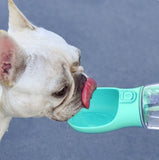 Koop Waterfles - Drinkflacon voor de Hond - Groen