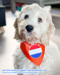 Honden Bandana Oranje Juichcape | Superbay