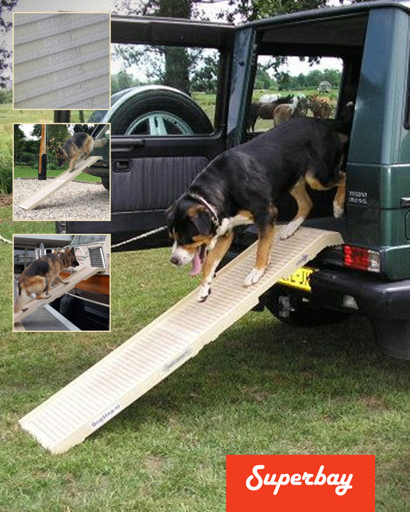 Omgeving bioscoop Lezen PetStep™ Loopplank voor Honden | 180cm x 45cm | Anti-Slip