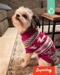 Honden Trui Kerstmis Noors - Warm, Comfortabel & Stijlvol | Rood | XS - 6XL | Superbay