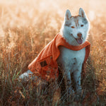 Greenfields Cape Towel - Handdoek voor Honden | Superbay