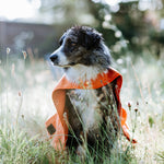 Greenfields Cape Towel - Handdoek voor Honden | Superbay