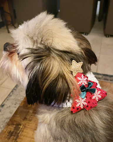 Aanbieding Prachtige Kersthalsband voor jouw Hondje bij Superbay  