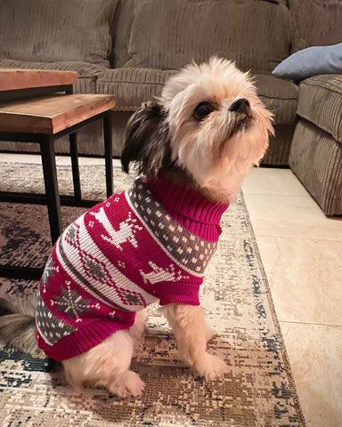 Aanbieding Honden Trui Kerstmis Noors - Warm, Comfortabel & Stijlvol | Rood | XS - 6XL bij Superbay  