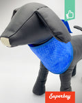 Koel Bandana voor de Hond | S, M, L & XL | Superbay