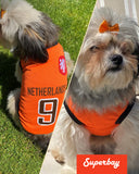 Mooi Voetbalshirt Hond Oranje